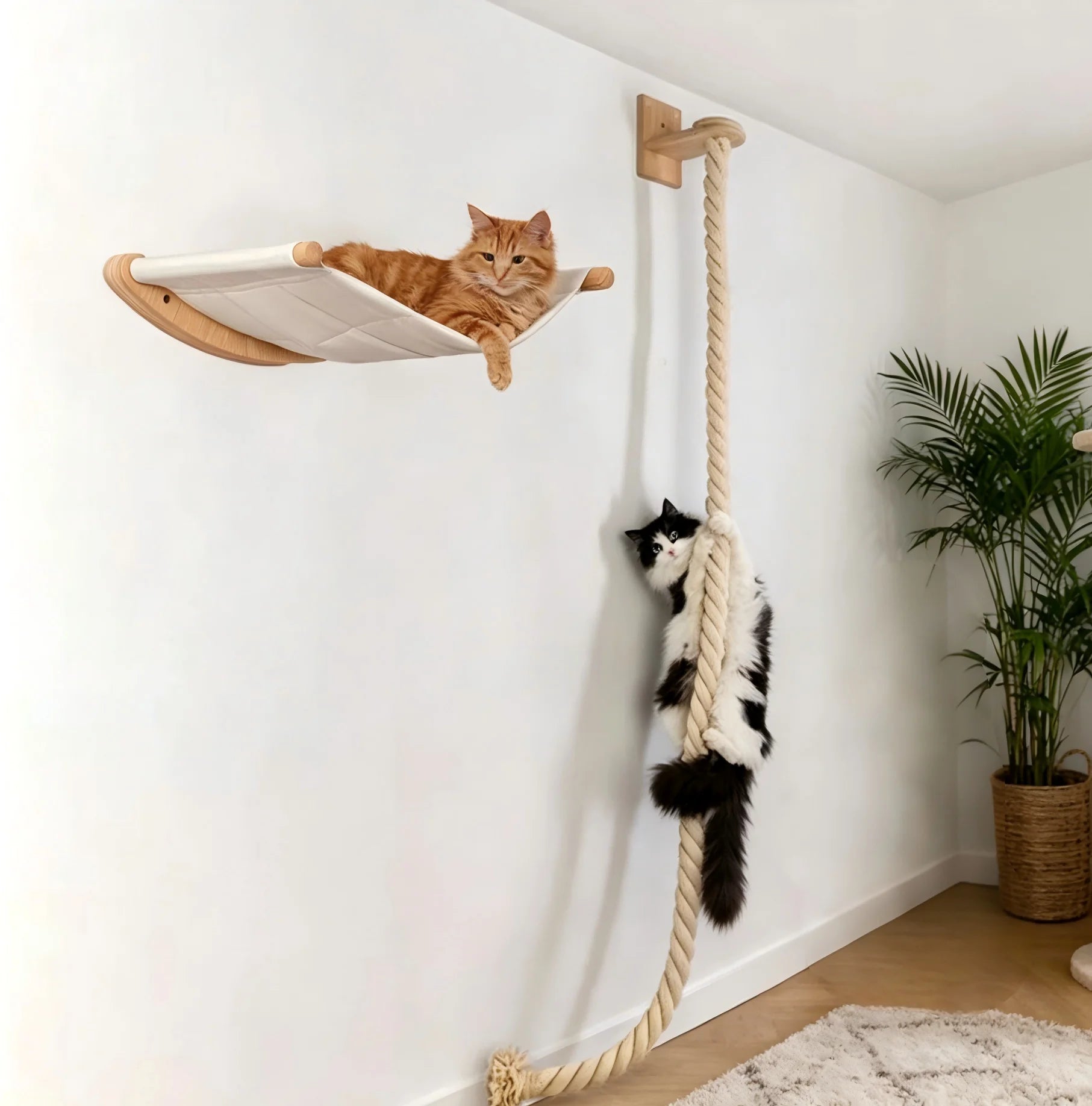 Wall-Mounted Cat Hammock Set