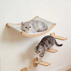 Wall-Mounted Cat Hammock Set