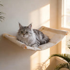 Wall-Mounted Cat Hammock Set