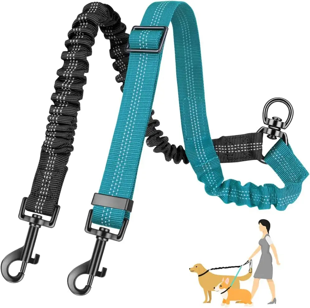 Double Leashes for Training Small to Large Dogs