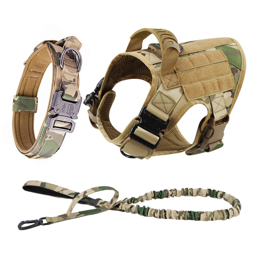 Large Dog Harness and Leash for Training, Walking