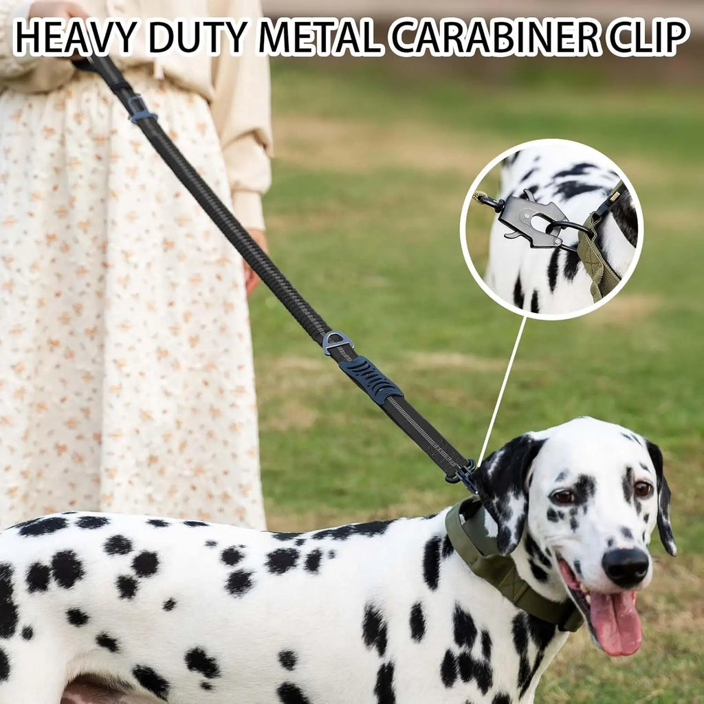 Reflective Shock Absorbing Pet Leashes with Car Seatbelt