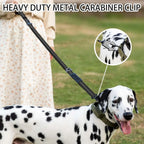 Reflective Shock Absorbing Pet Leashes with Car Seatbelt