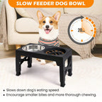 5 Height-Adjustable Raised Stand Dog Bowl