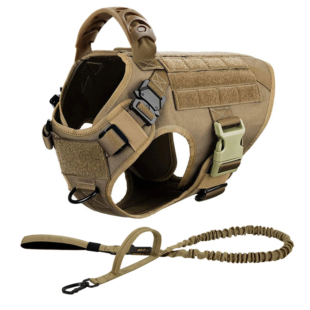 Large Dog Harness and Leash for Training, Walking
