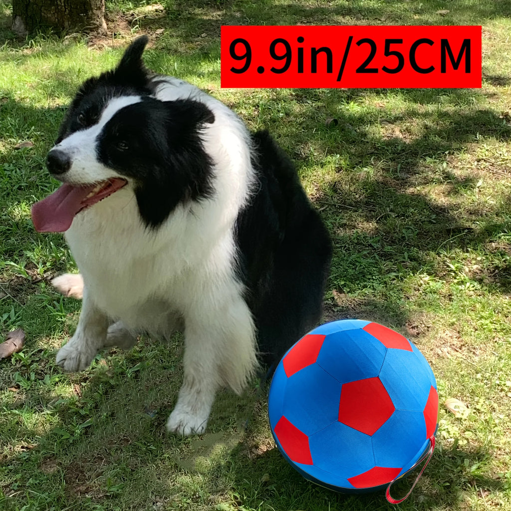 Dogs, Horses, Ball with Explosion-Proof Cover