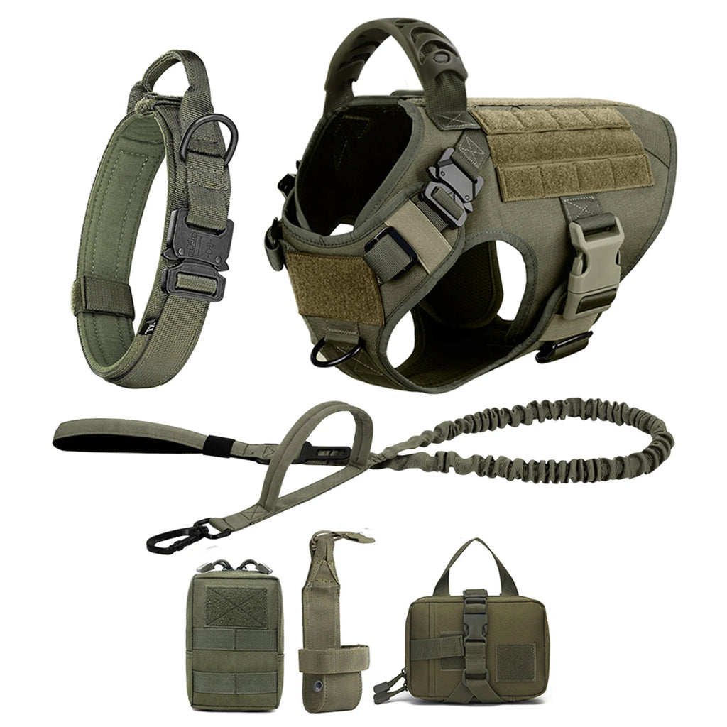 Large Dog Harness and Leash for Training, Walking