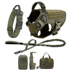 Large Dog Harness and Leash for Training, Walking