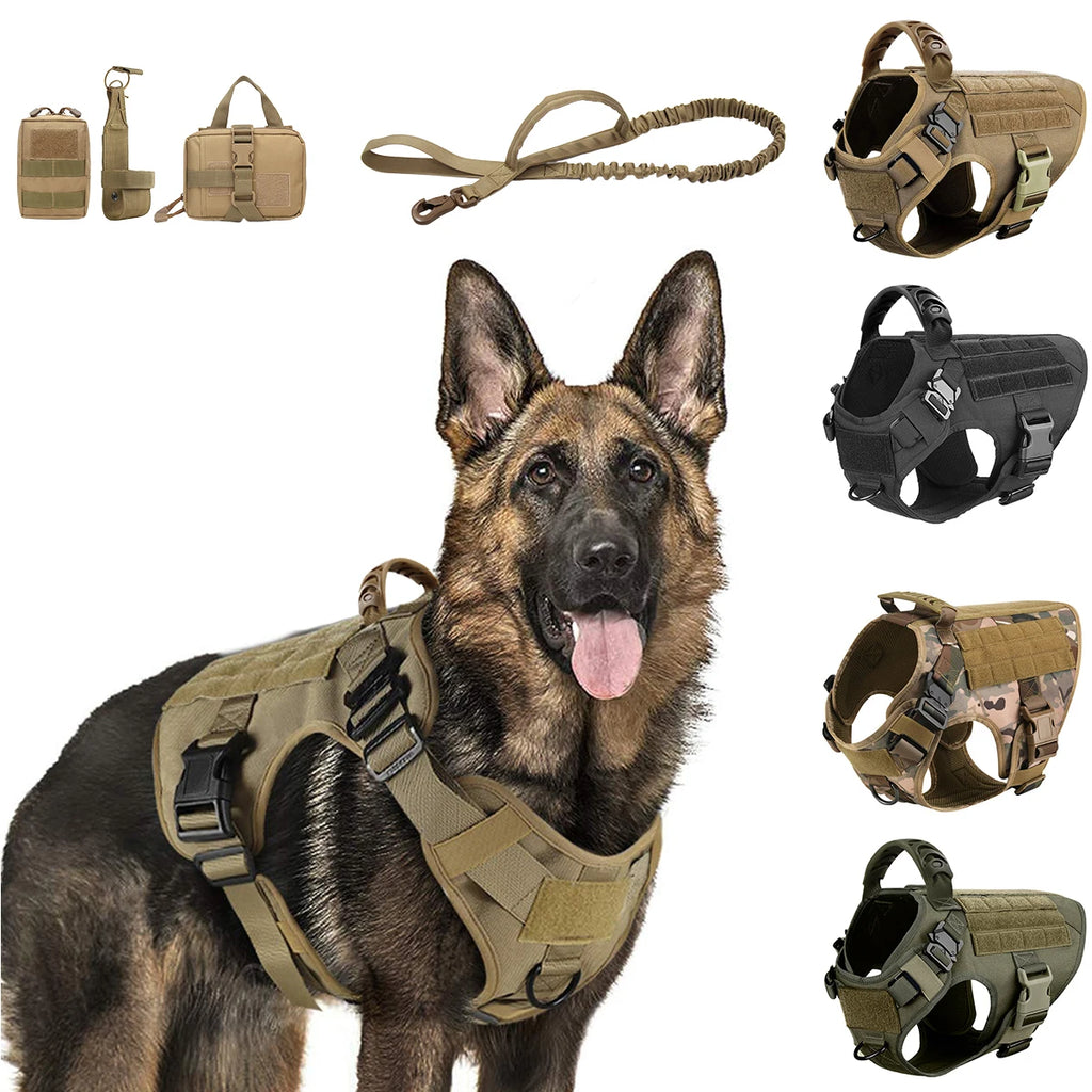 Large Dog Harness And Leash Set