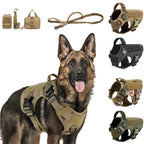 Large Dog Harness and Leash for Training, Walking