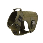 German Shepherd Training  Harness Collar Leash