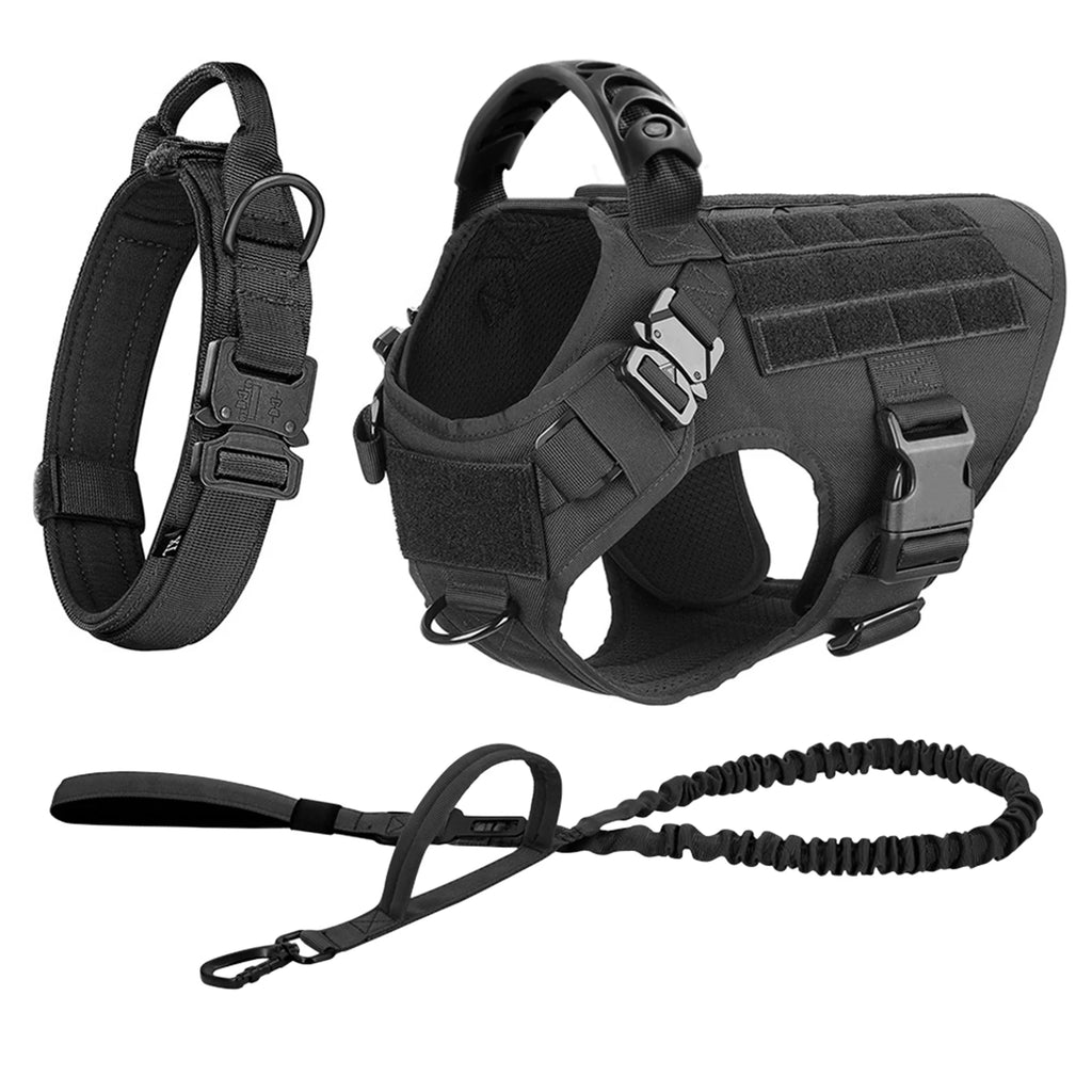 Large Dog Harness and Leash for Training, Walking
