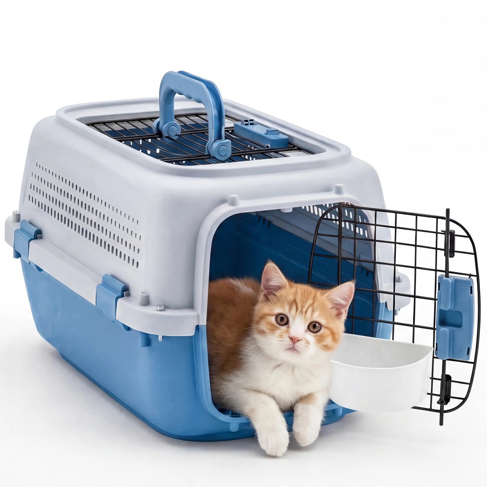 Carrier for Small Dogs, Cats