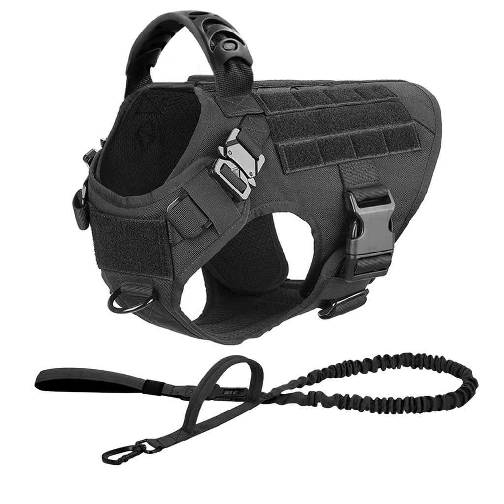 Large Dog Harness and Leash for Training, Walking
