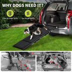 Folding Pet Ramp For Large Dogs