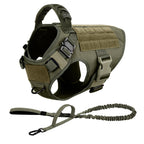 Large Dog Harness And Leash Set