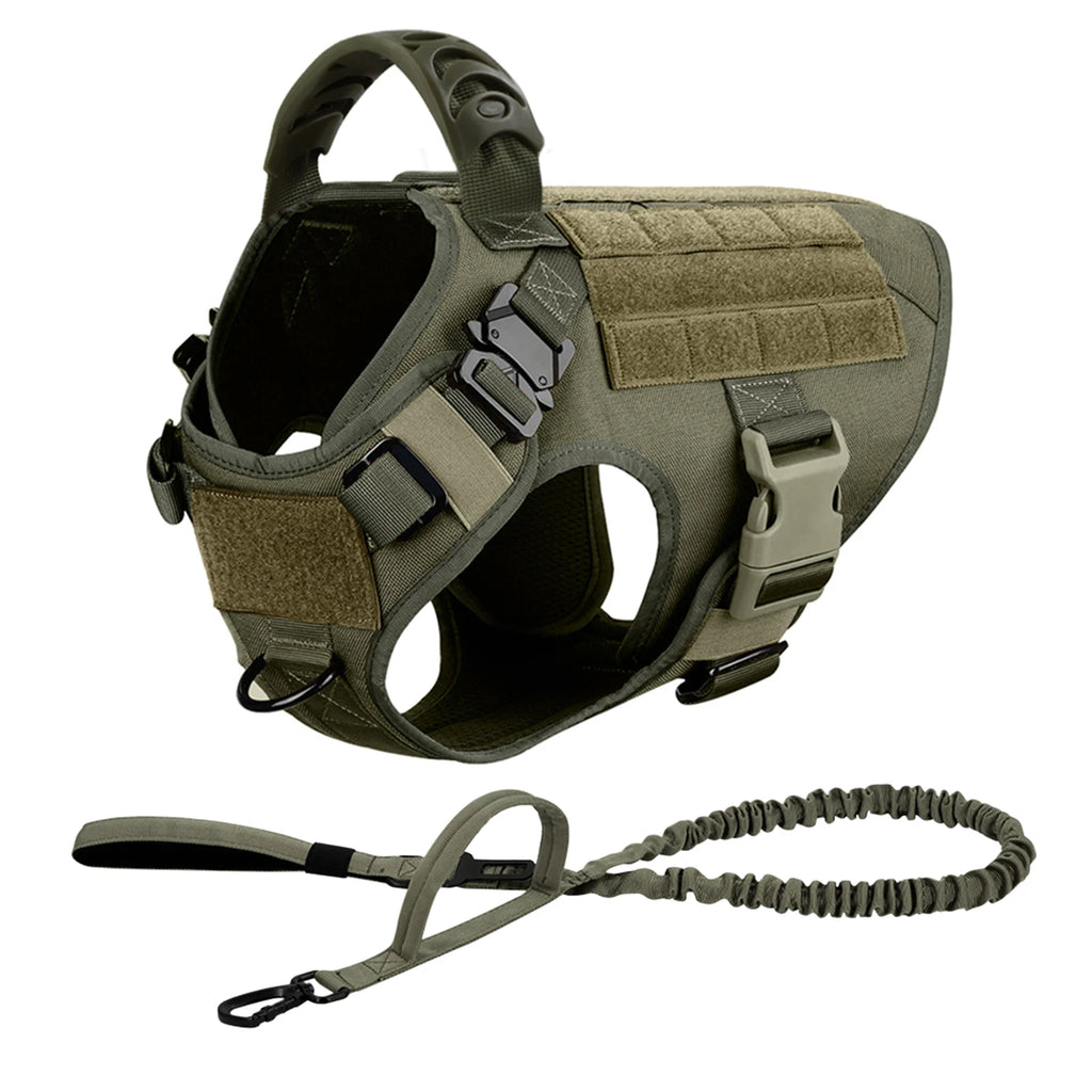 Large Dog Harness and Leash for Training, Walking
