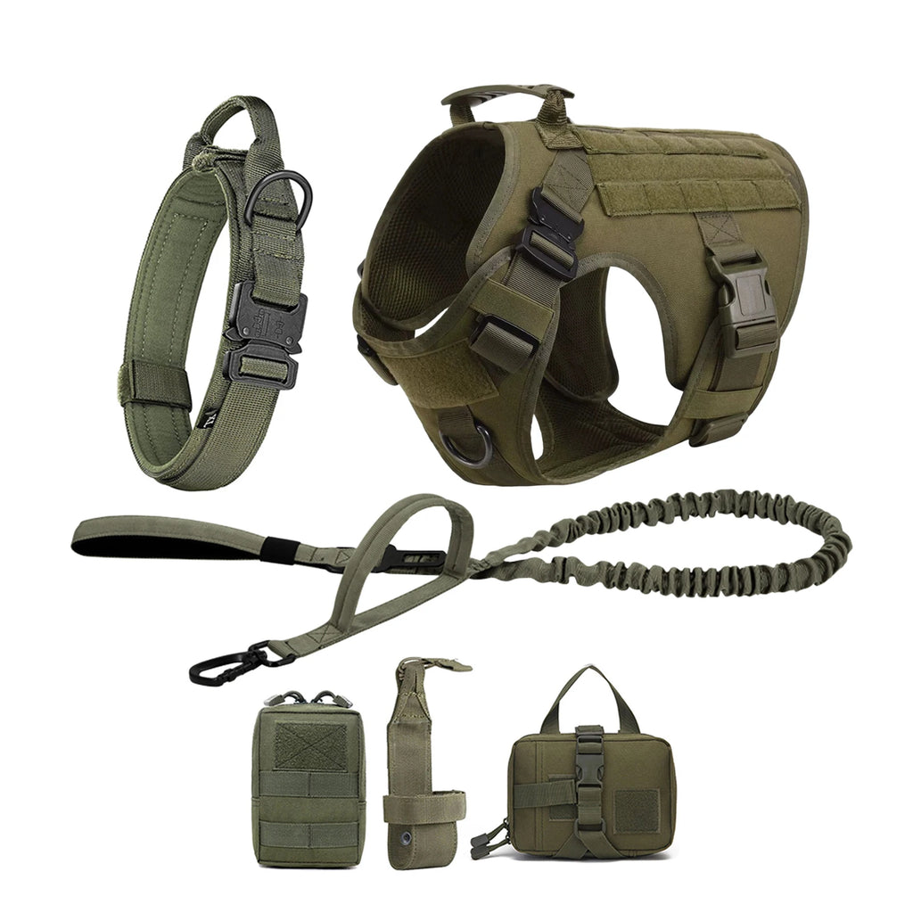 German Shepherd Training  Harness Collar Leash