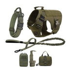 German Shepherd Training  Harness Collar Leash