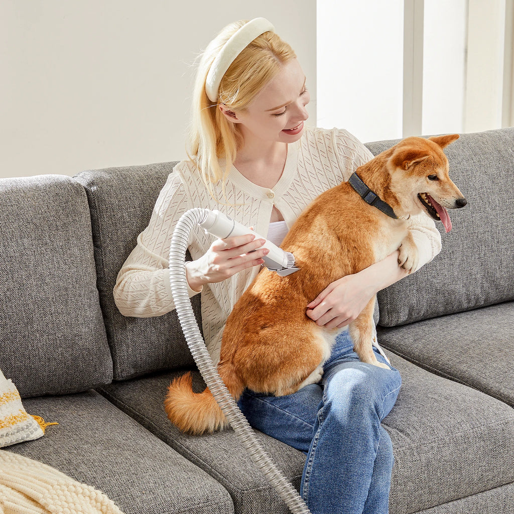 Professional Low Noise Pet Grooming