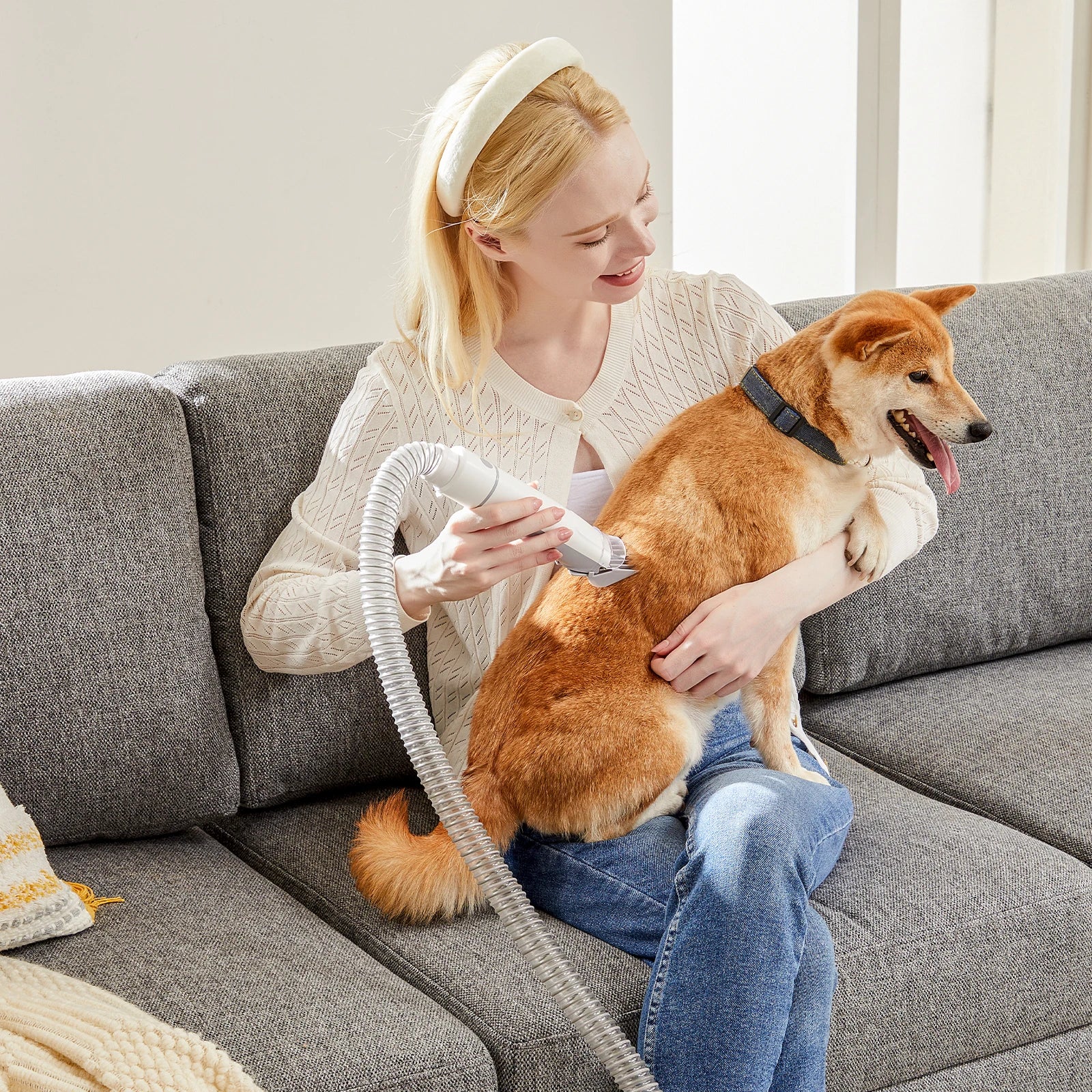 Professional Low Noise Pet Grooming