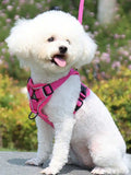 Reflective Pet Harness And Leash Set