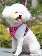 Reflective Pet Harness And Leash Set