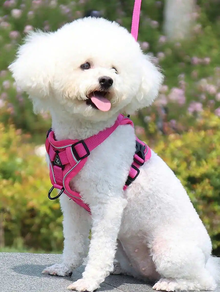 Reflective Pet Harness And Leash Set