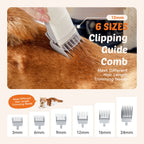 Professional Low Noise Pet Grooming