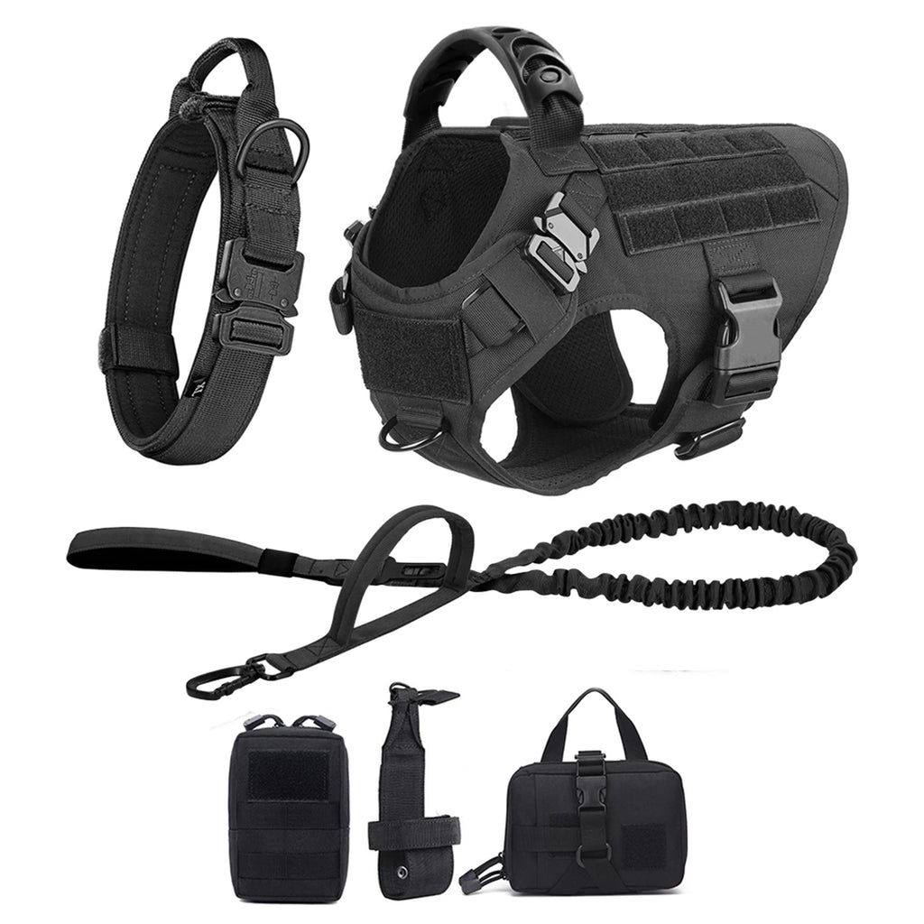 Large Dog Harness And Leash Set