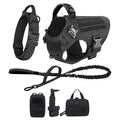 Large Dog Harness and Leash for Training, Walking