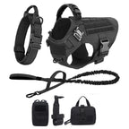 Large Dog Harness and Leash for Training, Walking