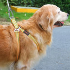 Double-headed Dog Leash with metal buckle