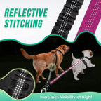 Double Leashes for Training Small to Large Dogs