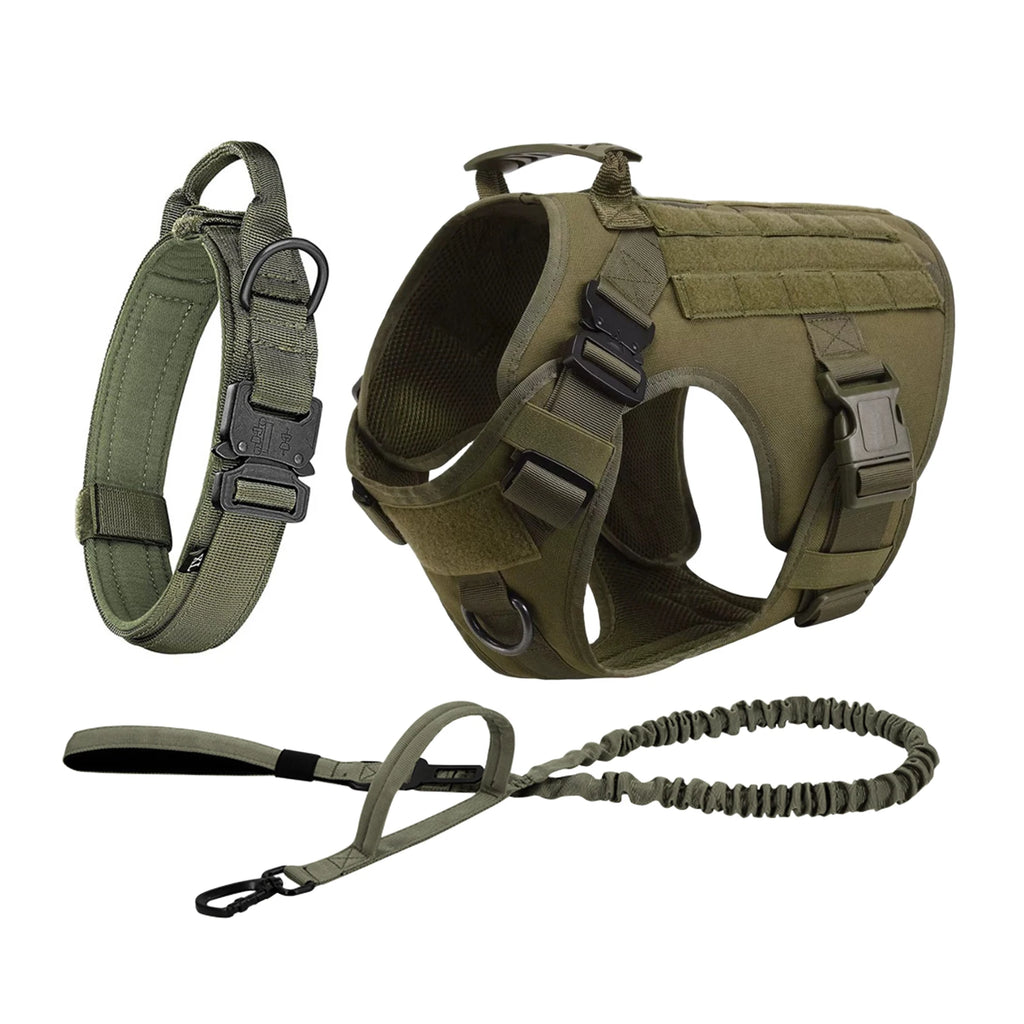 German Shepherd Training  Harness Collar Leash