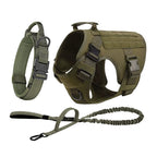 German Shepherd Training  Harness Collar Leash