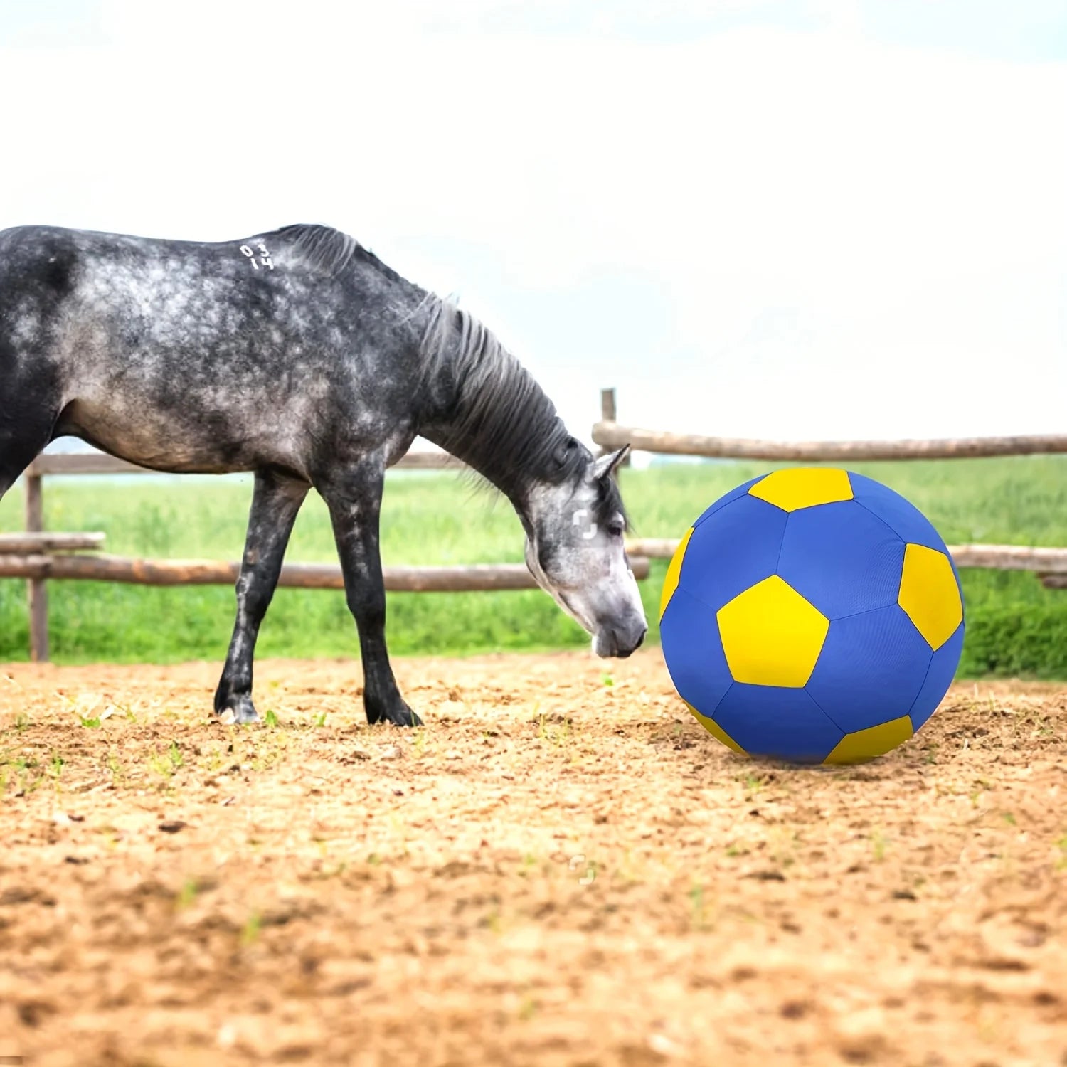 Dogs, Horses, Ball with Explosion-Proof Cover