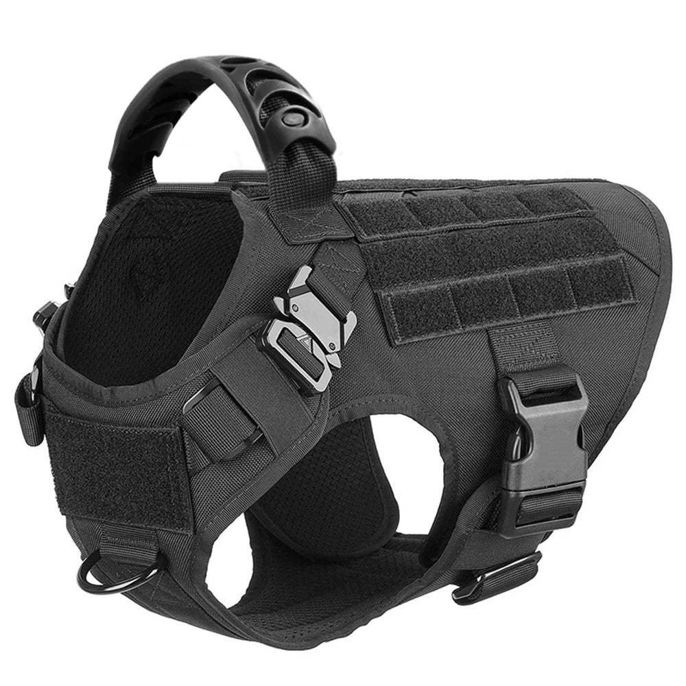 Large Dog Harness and Leash for Training, Walking