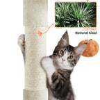 58 Tall Cat Apartment With Platforms