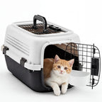 Carrier for Small Dogs, Cats