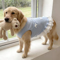 Light Blue Lace Pet Shirt With Bow Knot