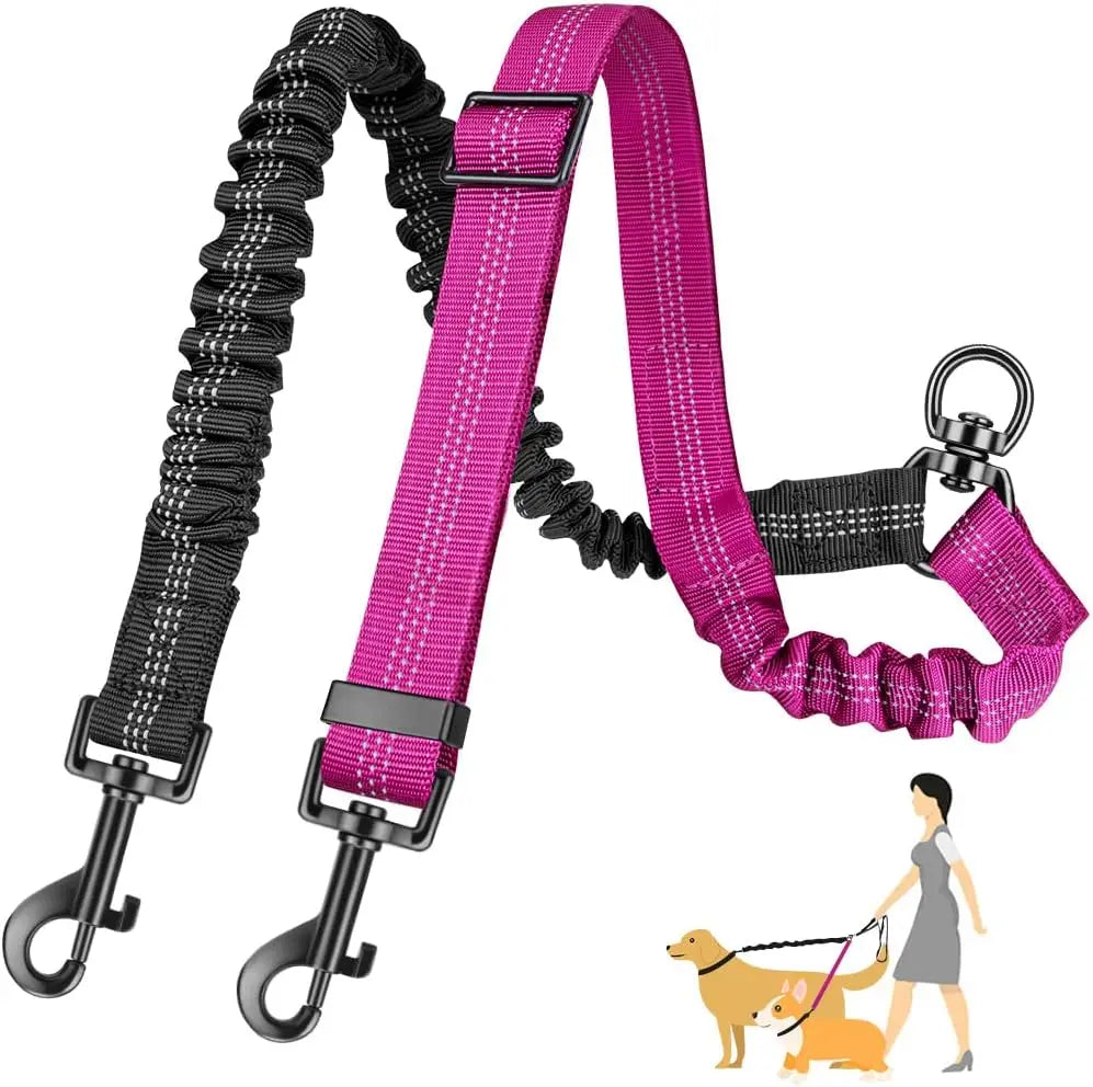 Double Leashes for Training Small to Large Dogs