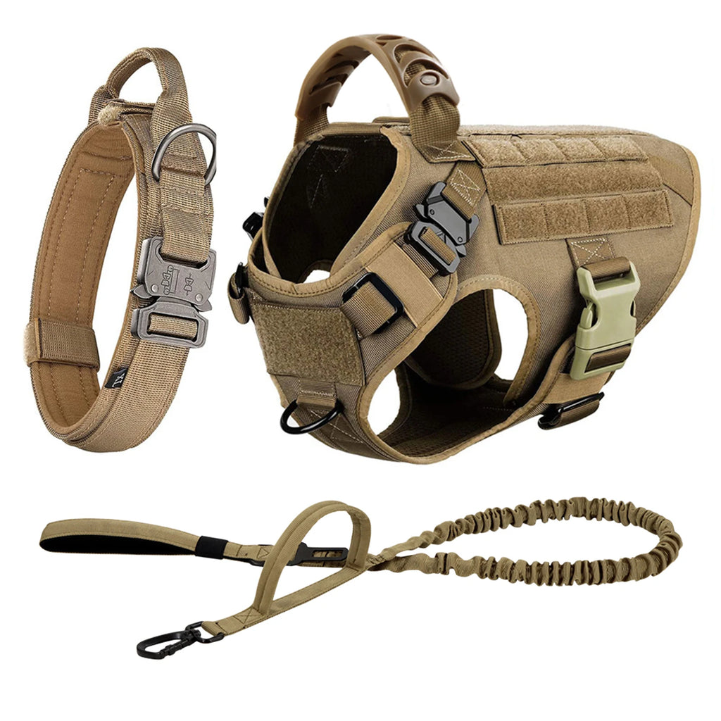 Large Dog Harness and Leash for Training, Walking