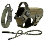 Large Dog Harness and Leash for Training, Walking