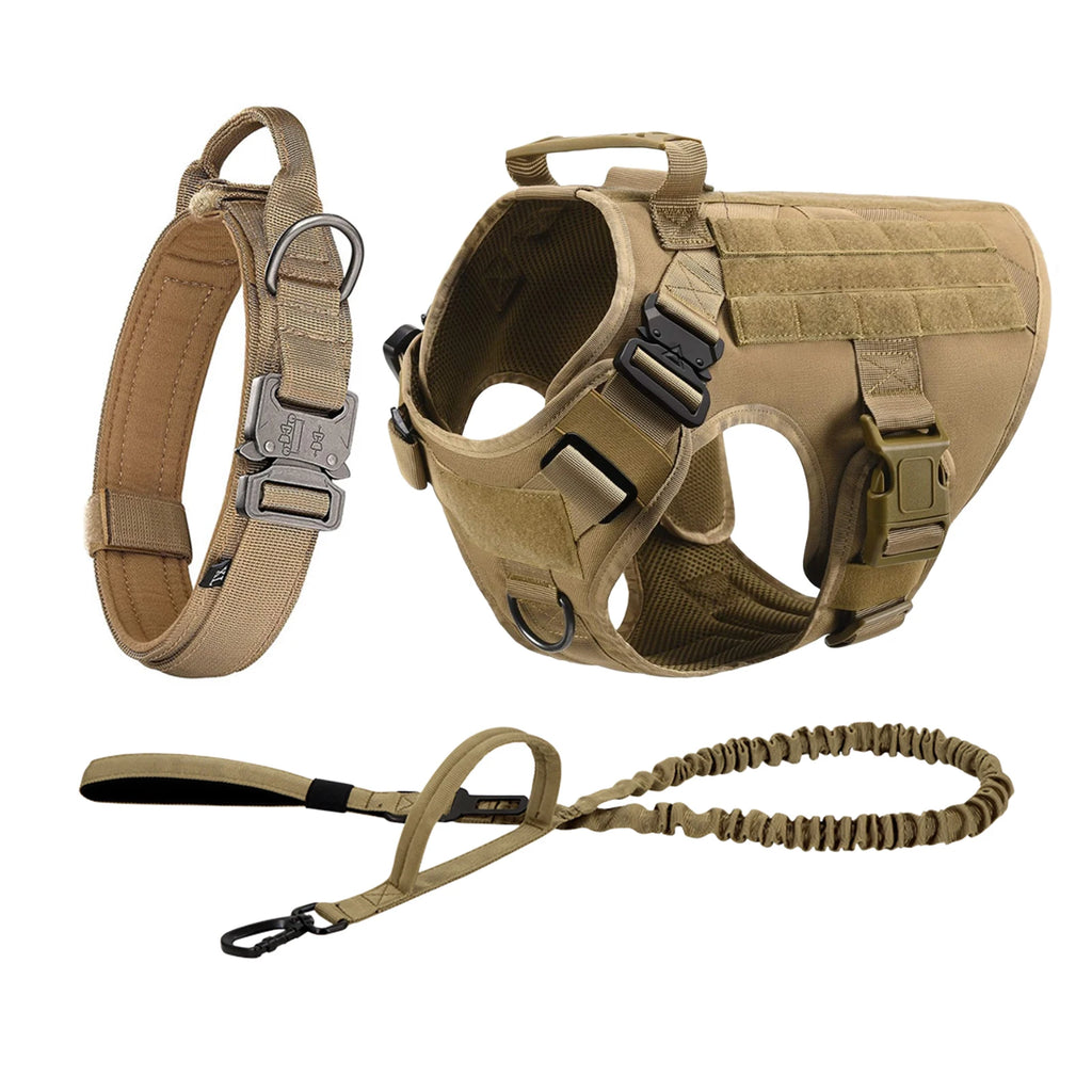 German Shepherd Training  Harness Collar Leash
