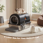 Large Cat Litter Box, Scoop, and Mat