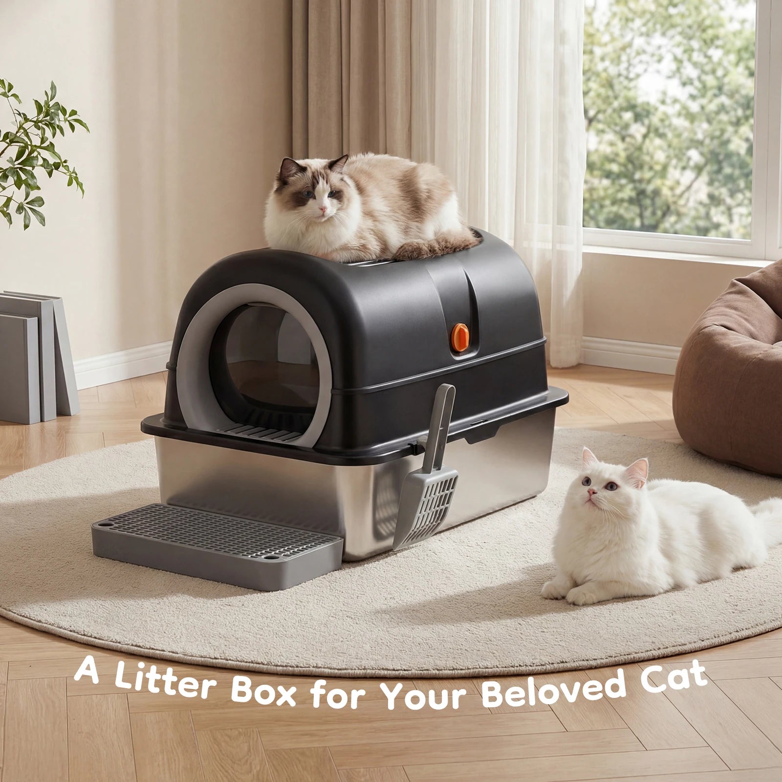 Large Cat Litter Box, Scoop, and Mat