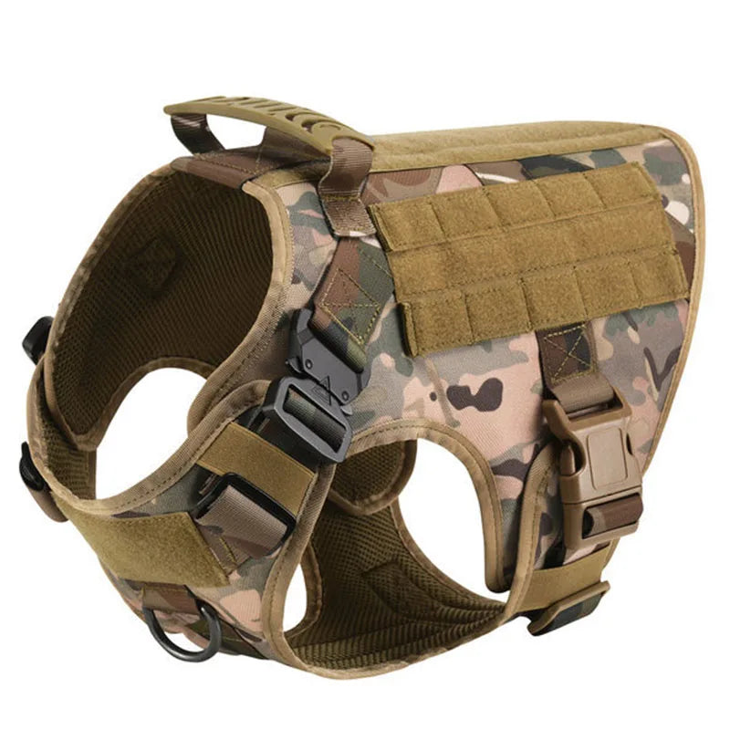 Large Dog Harness and Leash for Training, Walking