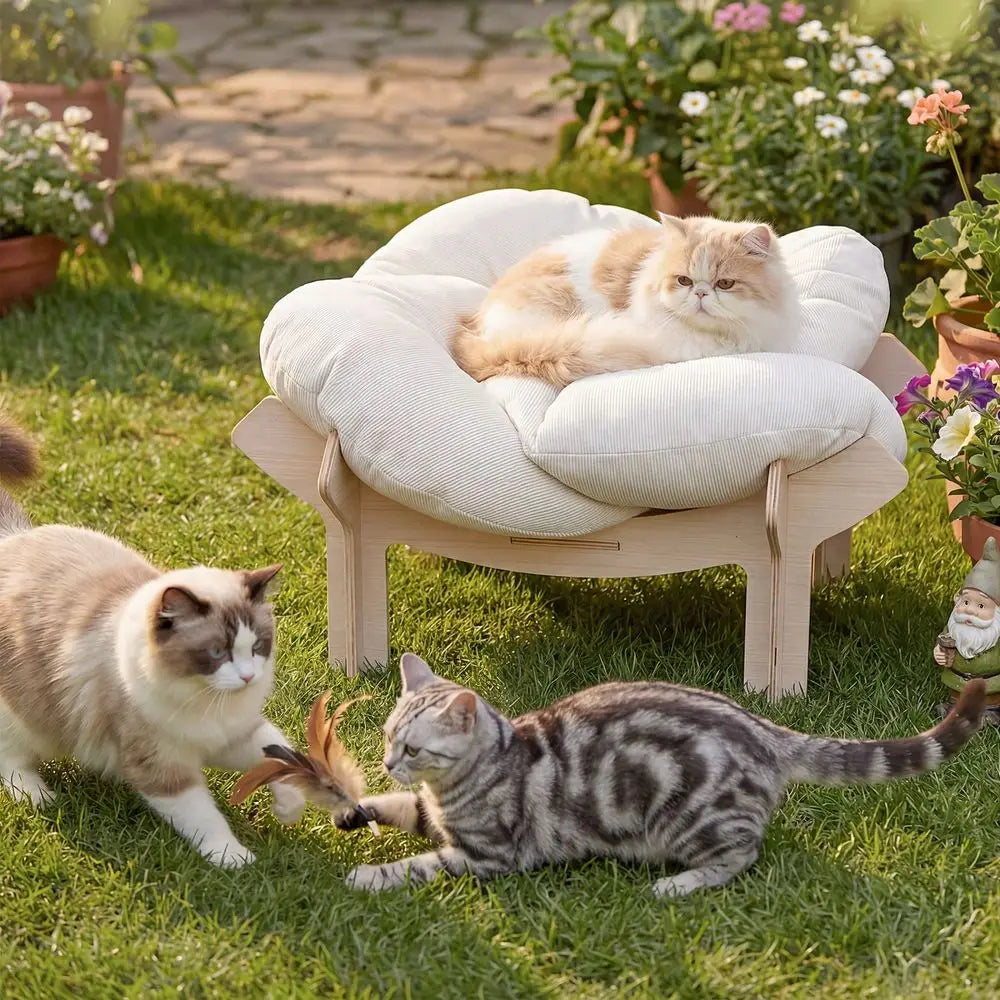 Flower-Shaped Pet Beds with Removable Cushion