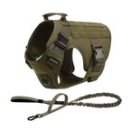 German Shepherd Training  Harness Collar Leash